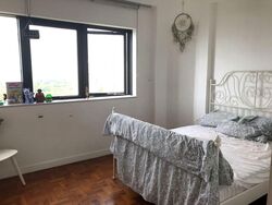 Bayshore Park (D16), Condominium #562192341